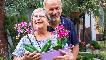 ¿Cuándo se cobra la canasta de fin de año de BPS?