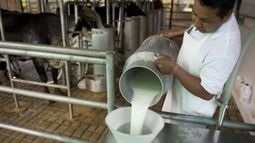 Sector lácteo podría enfrentar este martes un nuevo paro de 24 horas tras el despido de trabajadores en Claldy