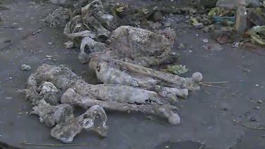 Hallaron restos humanos en la zona de la Unión