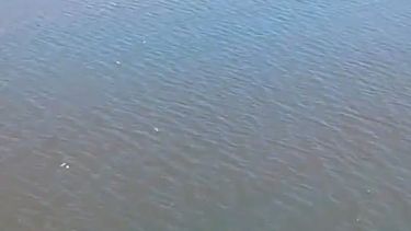 Reapareció la mancha roja en aguas de Maldonado