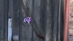 Vecinos de La Blanqueada en vilo: alarma de vivienda no para de sonar y aseguran que dueños se desentendieron