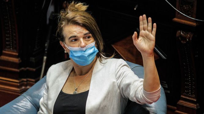 COVID-19 en el Senado: Silvia Nane confirmó que tiene coronavirus