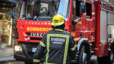 Bomberos realizó más de 180 intervenciones este lunes como consecuencia de los fuertes vientos