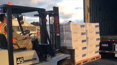 Avión Hércules transportó 60 respiradores desde Córdoba