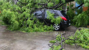 Llamado a Bomberos por temporal. Llamado a Bomberos por temporal.