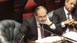 Gandini: Yo creo que recursos hay para la Rendición de Cuentas