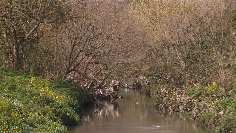Investigan hallazgo de una mujer sin vida en el Arroyo Pantanoso