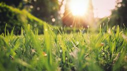 Primavera seca: octubre tendrá un déficit de lluvias