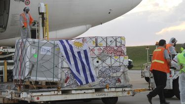 Organización belga destacó gestión y logística de vacunas en Uruguay