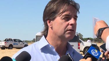 Miserable y triste: Lacalle Pou sobre irregularidad en ollas