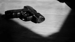 El Senado aprobó prorrogar hasta 2027 el plazo para regularizar o entregar armas sin registrar