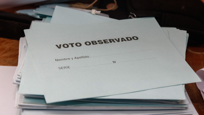 Voto observado, elecciones 2024.