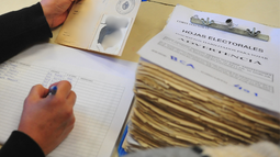 Elecciones 2024: Plebiscitos.