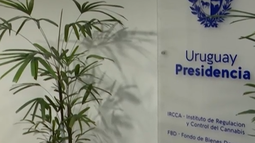 La Junta Nacional de Drogas presentó su nueva estrategia con participación de organismos estatales