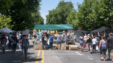 Desvíos de transporte en Montevideo hoy por vía blanca en 8 de Octubre