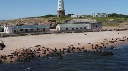 &nbsp;Isla de Lobos.