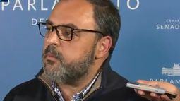 Se votó afirmativamente en comisión el desafuero de Manini