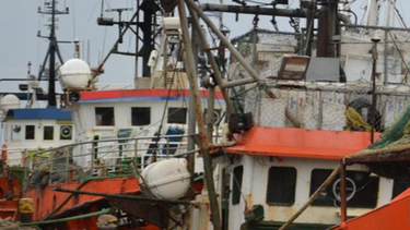 Cámara de Industrias Pesqueras informó que 351 de los 7.000 postulantes están en condiciones de embarcar