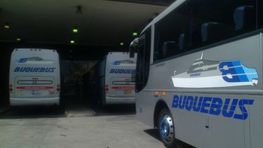 Gobierno habilitó viaje de Buquebus para uruguayos en Argentina