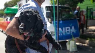 Comienzan a formarse comisiones departamentales del INBA