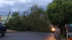 Acciones del Cecoed frente al micro reventón en Paysandú