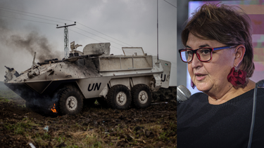 Ministra de Defensa designada lamentó el ataque a militares uruguayos en el Congo: Profundo dolor