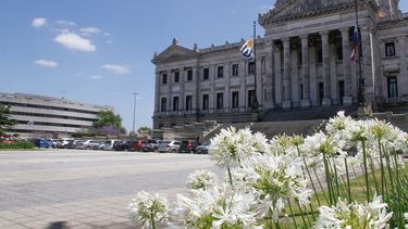 asamblea general eligio nuevo directorio de la institucion nacional de derechos humanos