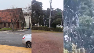 Llegó la nieve a Uruguay: dos departamentos registraron el fenómeno este lunes y vecinos los grabaron