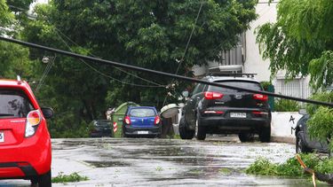 UTE restableció más del 70% de los servicios afectados por el temporal: hay más de 1.500 funcionarios trabajando