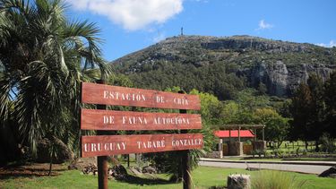 Reabrio la reserva del Cerro Pan de Azúcar, que permanecía cerrada tras muerte por la caída de un árbol
