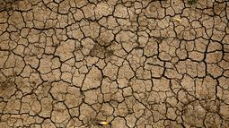 Déficit hídrico: Fratti dijo no se declarará la emergencia y las gremiales pidieron anticiparse