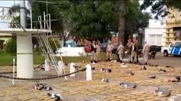 Incautaron drogas en Argentina que tendrían como destino Uruguay