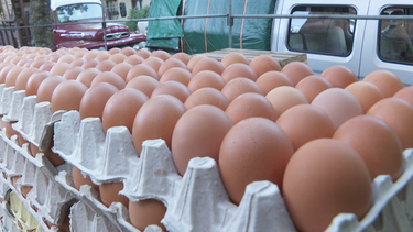 El precio del maple de huevos subió, en promedio, unos $30.
