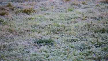 Inumet: pronóstico para este miércoles 19 de julio.