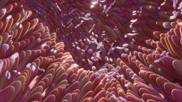 Microbiota intestinal y vínculo con el autismo. (Ilustrativa)