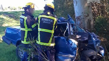 Siniestro fatal en la Ruta 12, en Florida: chocó con un árbol y murió Siniestro fatal en la Ruta 12, en Florida: chocó con un árbol y murió