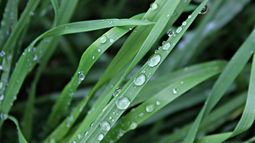 Inumet: pronóstico para este sábado 9 de diciembre.