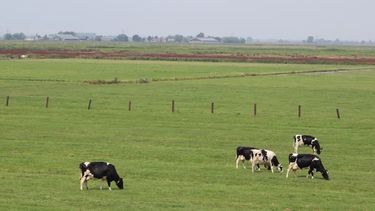 Quesero de San José cerró su establecimiento tras sufrir un copamiento y productores exigen mayor seguridad