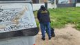 aumentaron los homicidios y los heridos por armas de fuego en los primeros nueve meses del ano