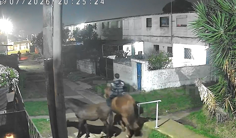 Otra rapiña del delincuente a caballo: robó la moto de un delivery y abandonó en la escena a dos animales
