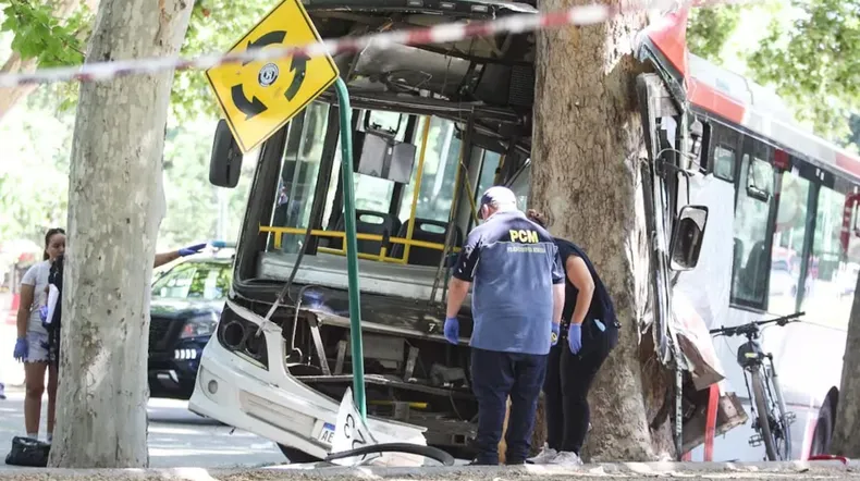 un-micro-choco-contra-un-arbol-en-mendoza-murio-el-chofer-y-hubo-17-pasajeros-heridos-foto-gentileza-diario-uno-nicolas-rios.avif