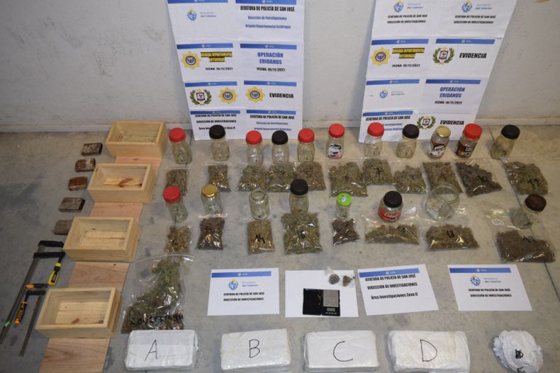 San José: Policía aclaró un hurto y descubrió cultivo ilegal de marihuana