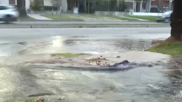 Pérdida de agua por caño roto en Jacinto Vera.