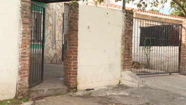 Perro muerto y casa baleada tras tiroteo en Cerro Norte.