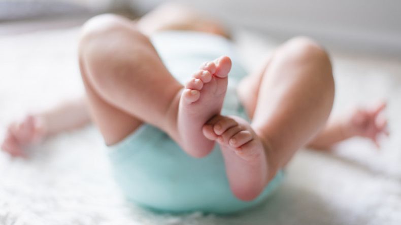 Una niña está en CTI tras ser mordida en la cabeza por un perro en Cerro Largo