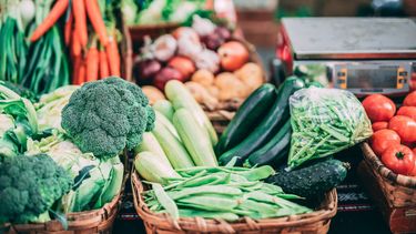 Agroecológica: Uruguay recibirá préstamo de US$35 millones del Banco Mundial