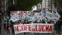 COFE presentará recurso por licencias médicas en sector público.