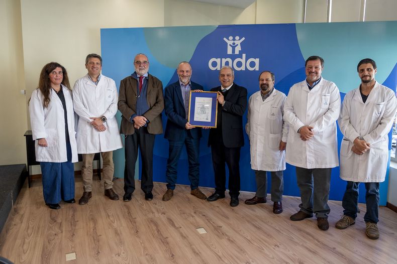 Ana Laura Roland, Andrés Garcia Baycé, Alvaro Chamorro, Fernando Abi-Saab, Fernando Gómez, Daniel Bulla, Pablo Catalá y Fernando Muniz .jpg