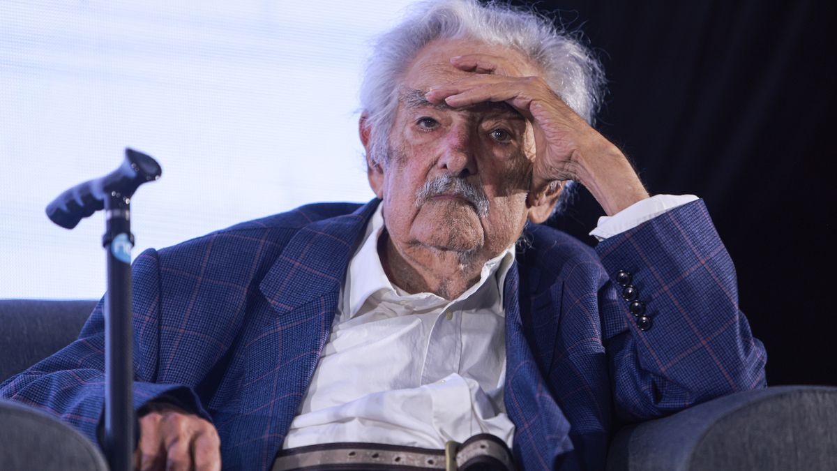 人気ブランド José Mujica dejó un legado de resiliencia, dijo el senador ヴァイスシュヴァルツ