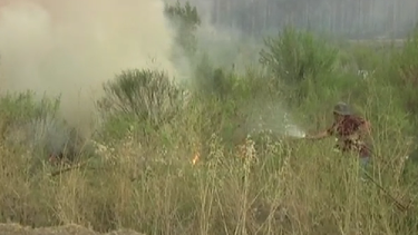 Uruguay en alerta roja por riesgo de incendios forestales